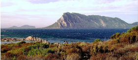 Area marina protetta di Tavolara