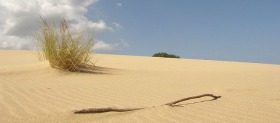 Dune di sabbia in Costa Verde